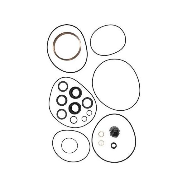 Pump Repair Kits- Kit, AP100.100.24 D, DH, AP Series.